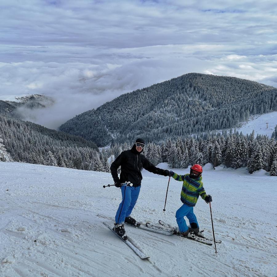 Beli Vuk Daire Kopaonik Dış mekan fotoğraf